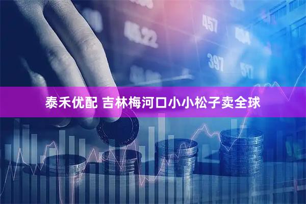 泰禾优配 吉林梅河口小小松子卖全球